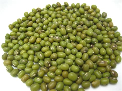 Mung bean .